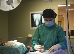 Photo of doctor performing surgery