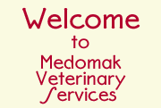 Welcome to Medomak Veterinary Services